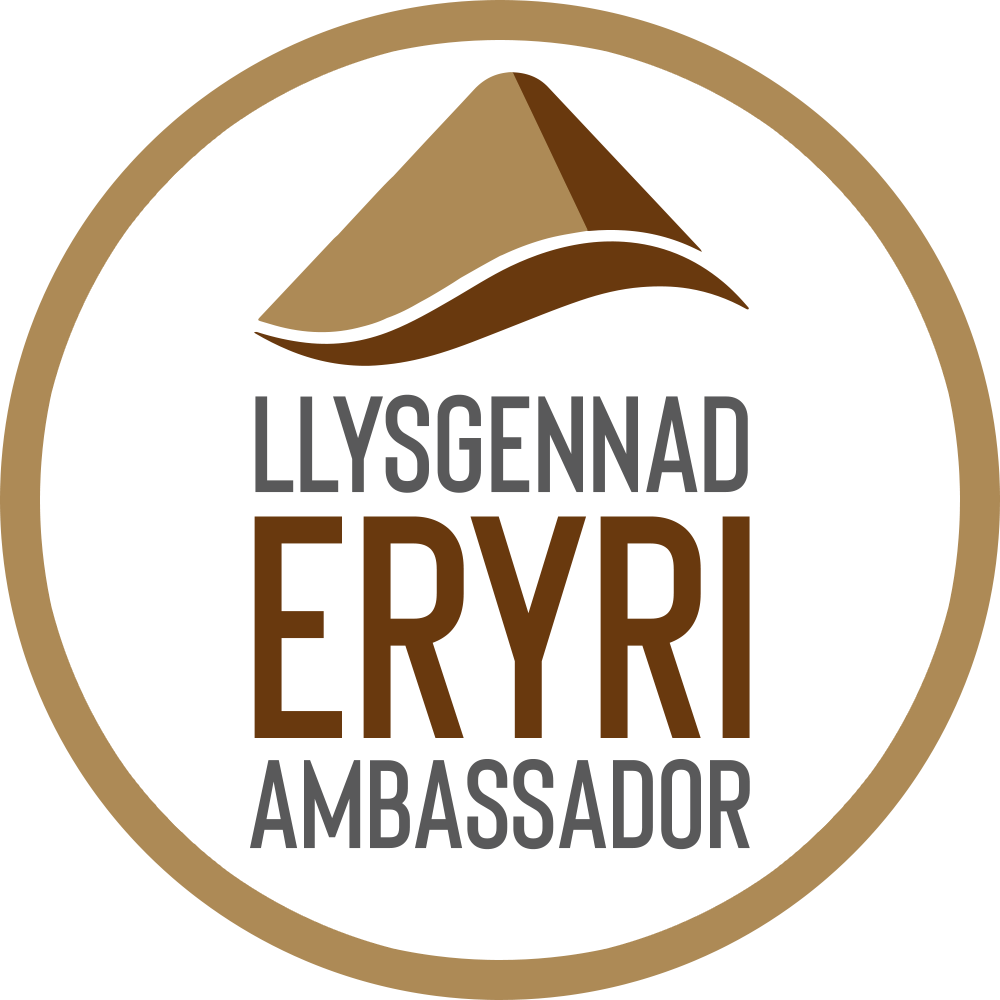 Bronze Eryri Ambassador