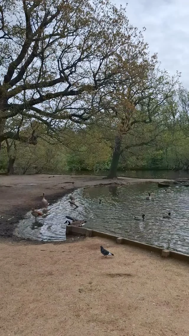 Instagram post from p600_mountaineering. This post is in position 2.