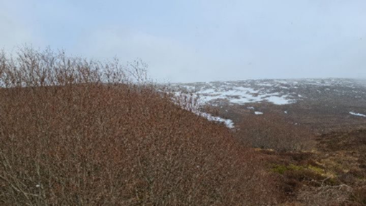 Instagram post from p600_mountaineering. This post is in position 3.