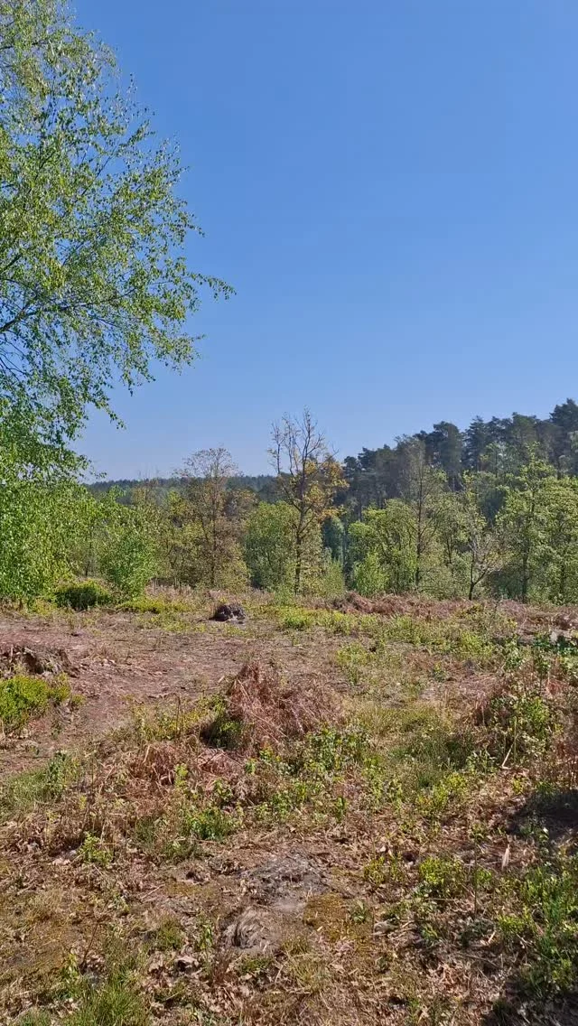 Instagram post from p600_mountaineering. This post is in position 0.