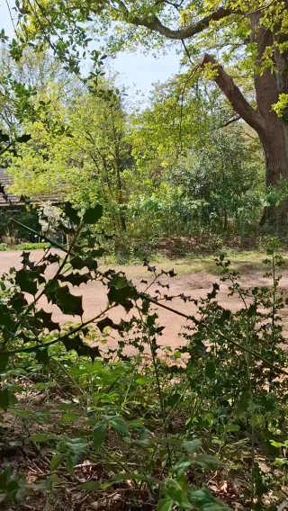 Instagram post from p600_mountaineering. This post is in position 1.