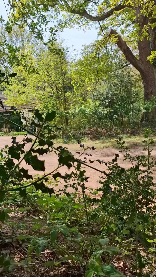 Instagram post from p600_mountaineering. This post is in position 0.