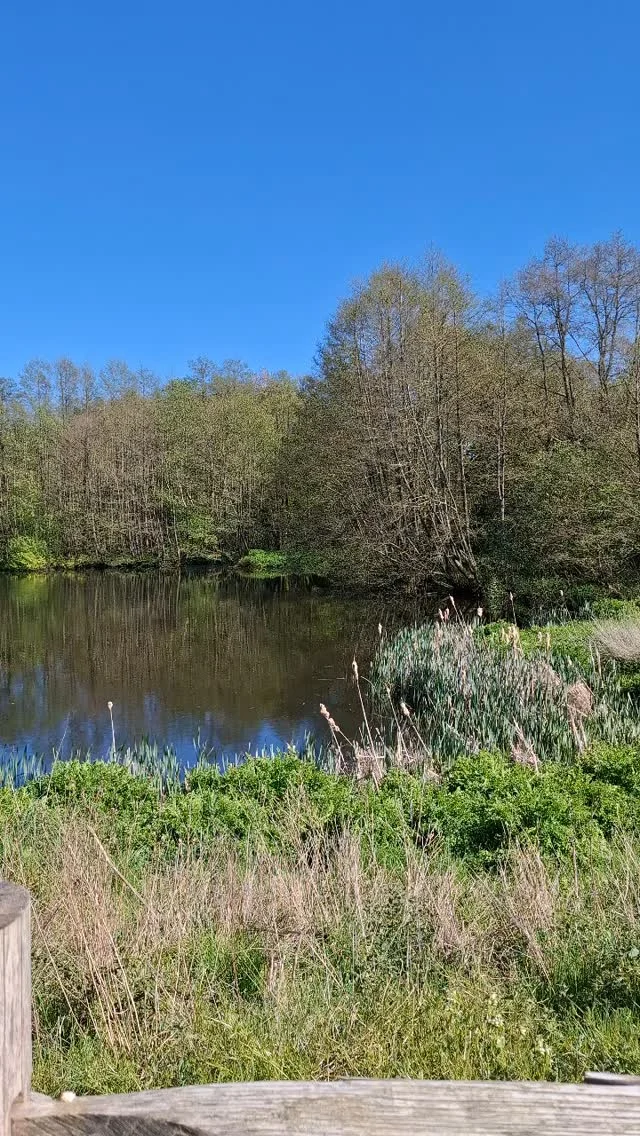 Instagram post from p600_mountaineering. This post is in position 1.