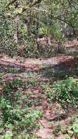 Instagram post from p600_mountaineering. This post is in position 3.