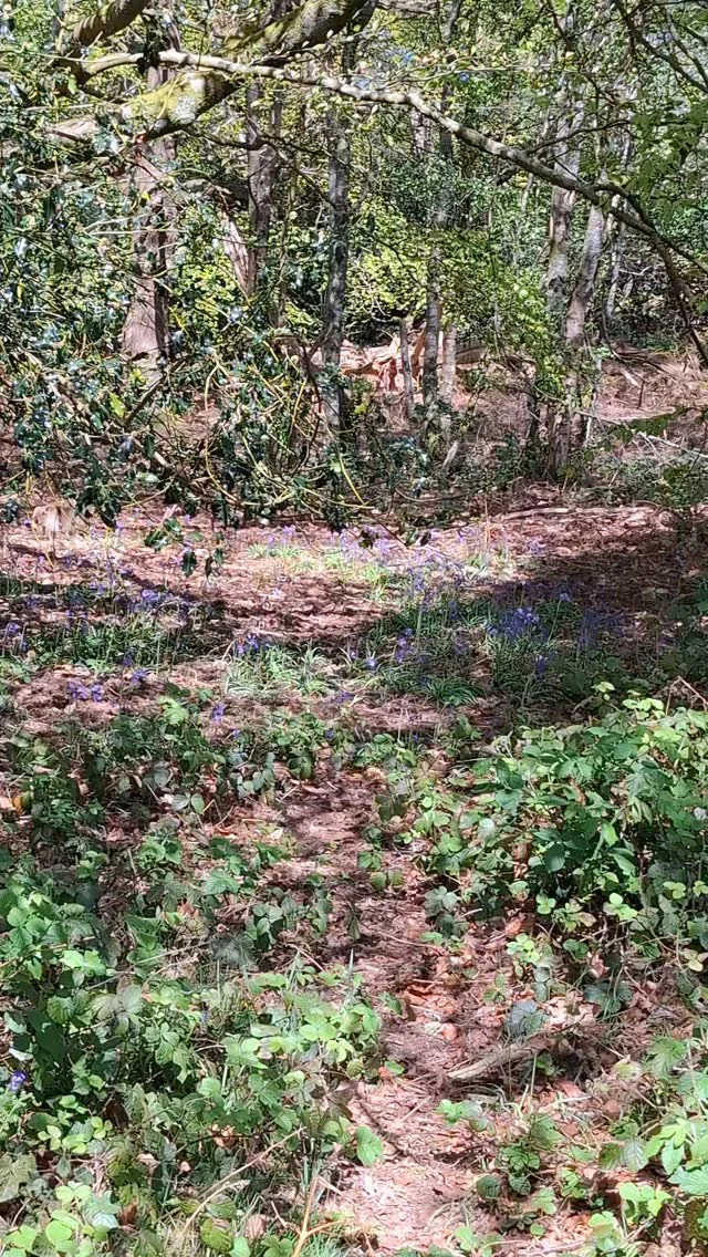 Instagram post from p600_mountaineering. This post is in position 2.